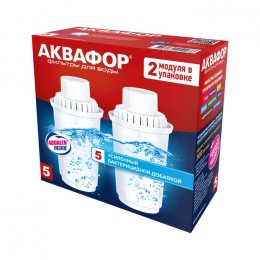 Сменный модуль В5 (В100-5) защита от бактерий (комплект из 2-х штук) в Наро-Фоминске